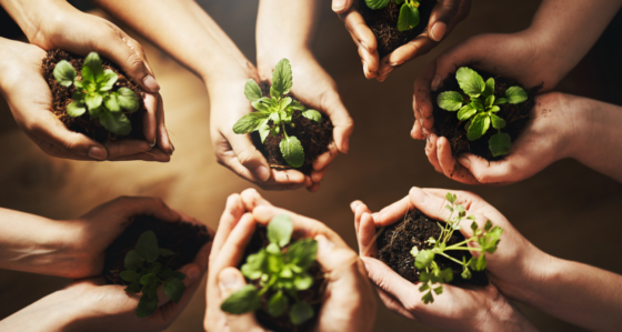 AIPD. Al via il progetto Horti della Contessa