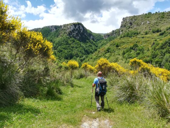 Raccolta fondi del Cammino di San Francesco per completare la Via per la Francia